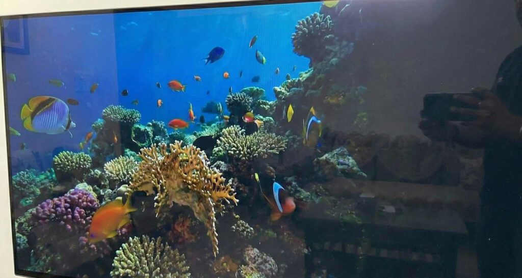 oled pixel burn in issue